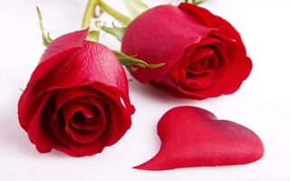 Valentines_Day 48.jpg